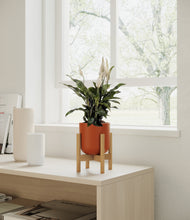 Load image into Gallery viewer, Earth Red stand:bamboo