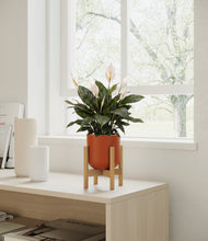 Load image into Gallery viewer, Earth Red stand:bamboo