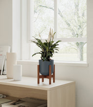 Load image into Gallery viewer, Iron Gray stand:walnut
