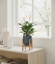 Load image into Gallery viewer, Iron Gray stand:light