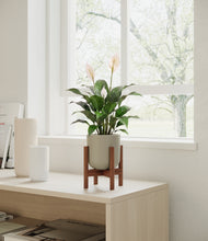 Load image into Gallery viewer, Sage Green stand:dark