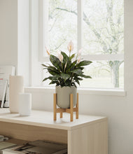 Load image into Gallery viewer, Sage Green stand:bamboo