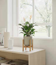 Load image into Gallery viewer, Sage Green stand:light