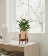 Load image into Gallery viewer, Sandy Pink stand:dark