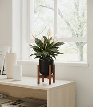 Load image into Gallery viewer, Stone Black stand:walnut