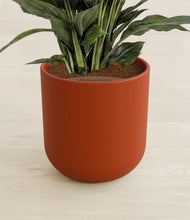 Load image into Gallery viewer, Earth Red stand:all