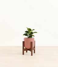 Load image into Gallery viewer, Hammered Rose Pink stand:walnut