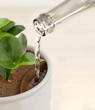 Load image into Gallery viewer, Hammered Ivory stand:all