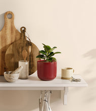 Load image into Gallery viewer, Striped Cherry Red