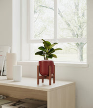 Load image into Gallery viewer, Striped Cherry Red stand:walnut