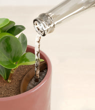 Load image into Gallery viewer, Hammered Rose Pink stand:all