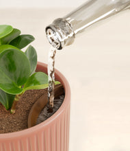 Load image into Gallery viewer, Striped Rose Pink stand:all