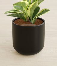 Load image into Gallery viewer, Stone Black stand:all