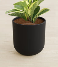 Load image into Gallery viewer, Stone Black stand:all
