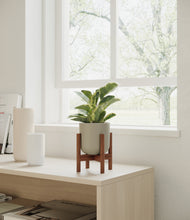 Load image into Gallery viewer, Sage Green stand:walnut