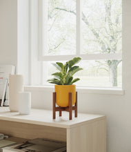 Load image into Gallery viewer, Sunset Orange stand:walnut