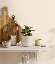 Load image into Gallery viewer, Snowdrift White