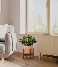 Load image into Gallery viewer, Calm Rose stand:walnut
