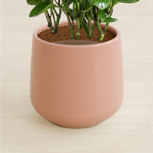 Load image into Gallery viewer, Calm Rose stand:all