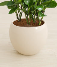 Load image into Gallery viewer, Shiny EggWhite stand:all