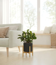 Load image into Gallery viewer, Black stand:bamboo