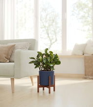 Load image into Gallery viewer, Deep Navy stand:walnut