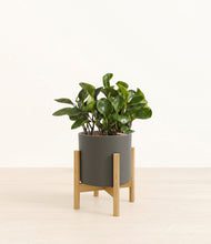Load image into Gallery viewer, Dark Olive stand:bamboo