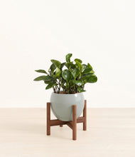 Load image into Gallery viewer, Deep Ocean stand:walnut