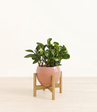 Load image into Gallery viewer, Calm Rose stand:bamboo