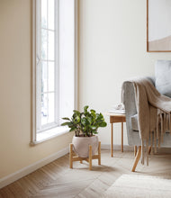 Load image into Gallery viewer, Desert Brown stand:bamboo