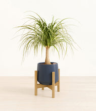 Load image into Gallery viewer, Deep Navy stand:bamboo
