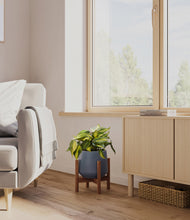 Load image into Gallery viewer, Deep Navy stand:walnut