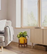 Load image into Gallery viewer, Mustard stand:walnut