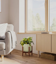 Load image into Gallery viewer, Turquoise stand:walnut