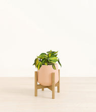 Load image into Gallery viewer, Gentle Pink stand:bamboo