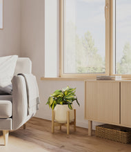 Load image into Gallery viewer, Almond Green stand:bamboo