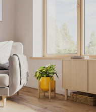 Load image into Gallery viewer, Mustard stand:bamboo