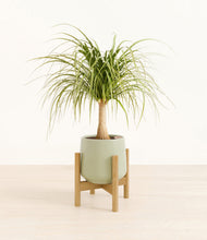 Load image into Gallery viewer, Turquoise stand:bamboo