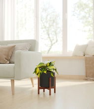 Load image into Gallery viewer, Black stand:walnut