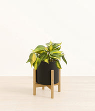 Load image into Gallery viewer, Black stand:bamboo