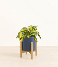 Load image into Gallery viewer, Deep Navy stand:bamboo
