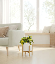 Load image into Gallery viewer, White stand:bamboo