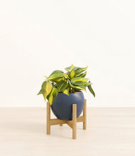 Load image into Gallery viewer, Deep Navy stand:bamboo