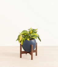 Load image into Gallery viewer, Deep Navy stand:walnut