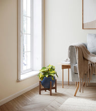 Load image into Gallery viewer, Deep Navy stand:walnut