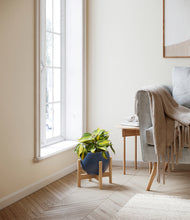 Load image into Gallery viewer, Deep Navy stand:bamboo