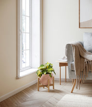 Load image into Gallery viewer, Calm Rose stand:bamboo