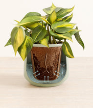 Load image into Gallery viewer, Turquoise stand:all