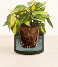 Load image into Gallery viewer, Black stand:all