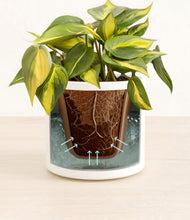 Load image into Gallery viewer, White stand:all